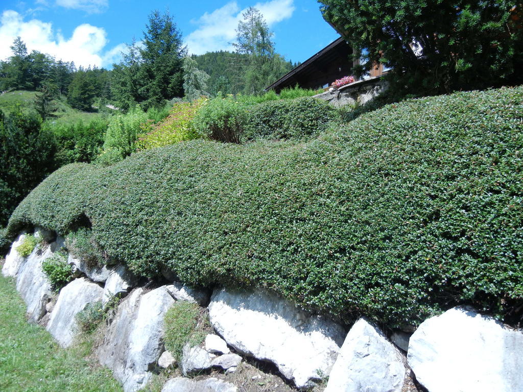 Privathaus Achensee Achenkirch Phòng bức ảnh
